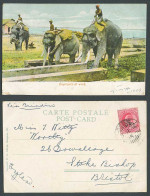 Delcampe - Burma India KE7 1a 1906 Old Postcard Elephants At Work, Burmese Natives Elephant - Myanmar (Birma)