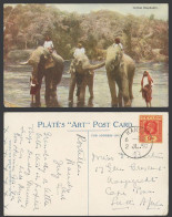 Delcampe - Ceylon Elephants KG5 9c 1930 Old Colour Postcard Elephant Trainers, Plate's ART - Sri Lanka (Ceylon)