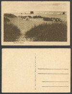 Delcampe - Denmark Old Postcard Hornbaek Beach Badestrand By Northwestern Sound Sands Women - Dänemark