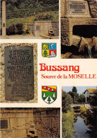 Delcampe - Carte Postale 88. Bussang  Très Beau Plan  Blasons   Très Beau Plan - Bussang