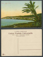 Delcampe - Palestine Israel Haifa Caifa Palm Tree Panorama General View Old Colour Postcard - Israel