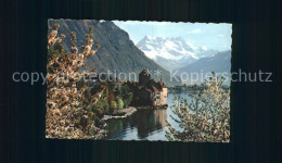 Delcampe - Lac Leman Genfersee Chateau Chillon Midi Frintemps - Sonstige & Ohne Zuordnung