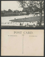 Delcampe - Australia Old Postcard Parramatta Park & King's School Bridge Children Deer NSW - Autres & Non Classés