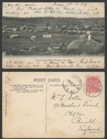 Delcampe - Australia 1d 1907 Old Postcard Junee From Hill Pretoria Avenue N.S.W., Symington - Autres & Non Classés