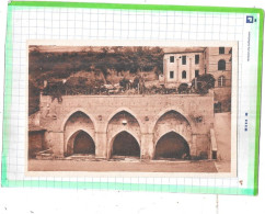 Delcampe - SIENA - ITALIE -  Fonte BRANDA - LYS 9/COR - - Siena