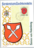 Delcampe - 9490 Vaduz - Maximum AK Mit Sonderstempel AKU1 - 50990670 - Liechtenstein