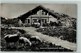 Delcampe - 3860 Meiringen Foto AK Gasthaus Susten Passhöhe Schafe Sonnenschirm - 10586297 - Meiringen