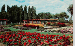 Delcampe - MONTREAL  QUEBEC Canada Jardin-Botanique Blumenbeet Dahlien Pergola Blumengarten - Ohne Zuordnung