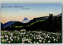Delcampe - Les Pléiades - Champ De Crocus Dent De Lys Abendrot - 10257479 - Blonay - Saint-Légier