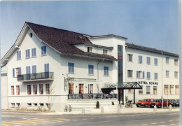 Delcampe - 6260 Reiden - Hotel Sonne - 50758127 - Reiden