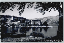 Delcampe - 3700 Spiez - Hotel Spiezerhof - 50438972 - Spiez
