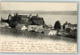 Delcampe - 1422 Grandson 1903 - Schloss - 39701250 - Grandson