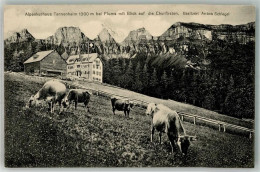 Delcampe - 8890 Flums 1913 Foto AK Hotel Alpenkurhaus Tannenheim - 10748956 - Flums