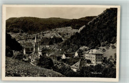 Delcampe - 4437 Waldenburg 1923 Foto AK - 10749706 - Waldenburg