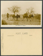 Delcampe - N. Nigeria Old Real Photo Postcard Pack Bullocks Bullock Bulls Ox Cattle Animals - Non Classés