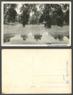 Delcampe - Singapore Old Real Photo Postcard Botanical Garden Botanic Gardens, Lake & Trees - Non Classés