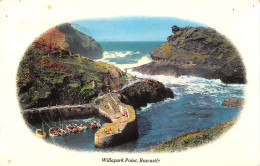 Delcampe - Uk9576 Willapark Point Boscastle Uk - Sonstige & Ohne Zuordnung