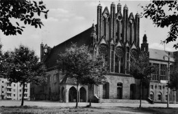 Delcampe - BG28537 Frankfurt Oder Rathaus   Germany  CPSM 14x9cm - Sonstige & Ohne Zuordnung