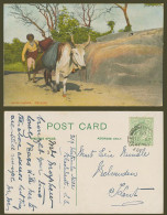 Delcampe - Ceylon 1909 Old Colour Postcard Native Man & Bull Ox, Water Carrier, Ethnic Life - Sri Lanka (Ceylon)