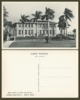 Delcampe - Mauritius Old Real Photo Postcard College D'Agriculture Reduit Moka School Palms - Non Classés