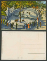 Delcampe - Swiss Old Colour Postcard Berne Bern Baerengraben, Bears & BEAR PIT General View - Non Classés