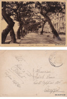 Delcampe - # TRAPANI: VIALE REGINA ELENA   1940 - Trapani