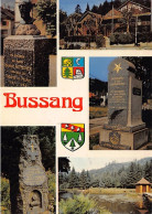 Delcampe - Carte Postale 88. Bussang  Blasons  Très Beau Plan - Bussang