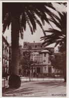Delcampe - # TRAPANI: CASINA DELLE PALME - Trapani