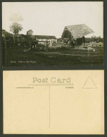 Delcampe - Singapore Old Real Photo Postcard Native Oil Press Bull Cattle Oxen At Work 8114 - Non Classés