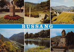 Delcampe - Carte Postale 88. Bussang Très Beau Plan - Bussang