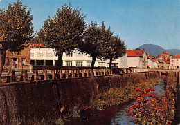 Delcampe - Carte Postale 88. Senones L'école Des Garçons Très Beau Plan - Senones
