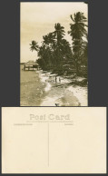 Delcampe - Singapore Old Real Photo Postcard Tanjong Katong, Beach, Palm Trees Hut Panorama - Non Classés