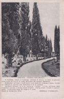Delcampe - Aquileia (Udine) - Anni '20 - Cimitero Della Basilica - Con Versi Di D'Annunzio - Udine