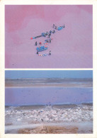 Delcampe - CPSM Sénégal-Le Lac Rose à Retba    L4805 - Sénégal