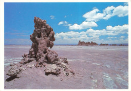 Delcampe - CPSM Djibouti-Lac Abbé-RARE    L4805 - Dschibuti