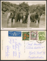 Delcampe - Ceylon Air Mail 1948 Old Real Photo Postcard Elephant Elephants Crossing A River - Sri Lanka (Ceylon)