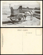 Delcampe - China Old Postcard A Peking Cart, Horse Pony Mule Chinese Wagon, Missionary Film - China