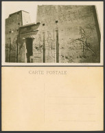 Delcampe - Egypt Old Real Photo Postcard Edfou Edfu Temple Ruins Gate With Wall Carvings RP - Sonstige & Ohne Zuordnung