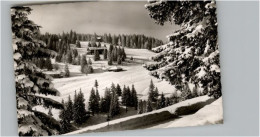 Delcampe - Feldberg Schwarzwald Gasthaus Pension Zum Auerhahn - Feldberg