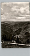 Delcampe - Feldberg Schwarzwald Wiesentalblick - Feldberg