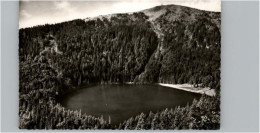 Delcampe - Feldberg Schwarzwald Feldsee Seebuck - Feldberg
