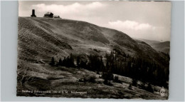 Delcampe - Feldberg Schwarzwald Feldbergturm - Feldberg