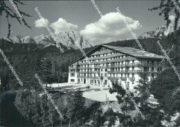 Delcampe - B789  Cortina D'ampezzo  Collegio Linguistico Orsoline Al Faloria Belluno - Belluno