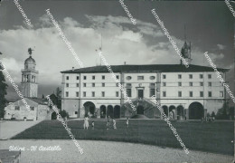 Delcampe - B793  Cartolina Udine Citta' Il Castello - Udine