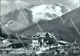 Delcampe - D816 Cartolina Albergo Passo Falzarego La Marmolada Provincia Di Belluno - Belluno