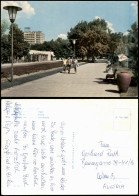 Delcampe - Bulgarien (allgemein) Bulgarien Allgemein Sonnenküste Urlauber Hotel 1962 - Bulgarien