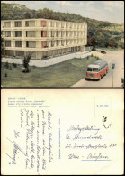 Delcampe - Warna Варна Hotel Edelweiss Bus Davor, Златни пясъци Хотел Еделвайс 1960 - Bulgarien