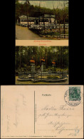 Delcampe - Ansichtskarte Großschönau (Sachsen) Hutberg Kaiserhain 2 Bild 1903 - Grossschönau (Sachsen)