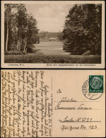 Delcampe - Ansichtskarte Lieberose Blick Vom Jagdgedenkstein Auf Den Schloßpark 1928 - Lieberose