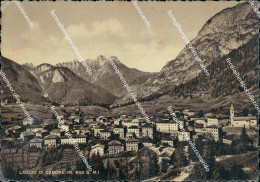 Delcampe - D843 Cartolina Laggio Di Cadore Provincia Di Belluno - Belluno
